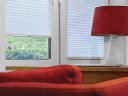 Pleated blinds